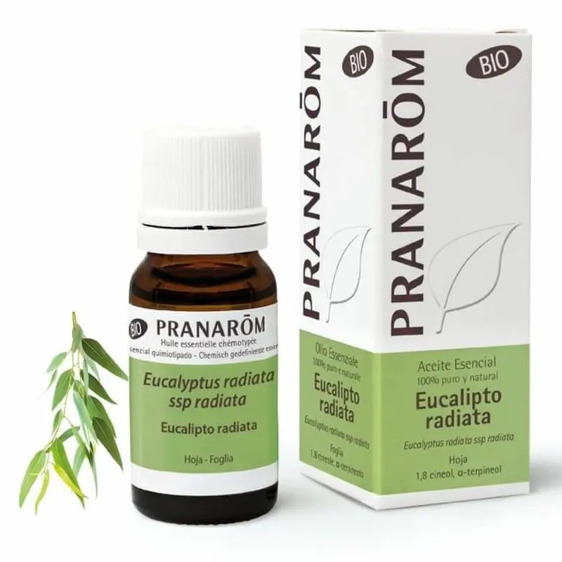 Pranarom Aceite Esencial Eucalipto Radiata, 30ml