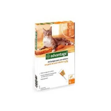 Advantage Gato 40 mg 0-4Kg 4Pip