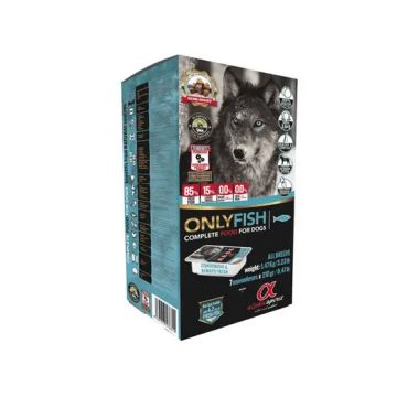 Alpha Spirit Canine Adult Pescado Humedo Monodosis 9Kg, pienso para perros
