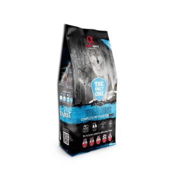 Alpha The Only One Canine Adult Pescado 12Kg, pienso para perros