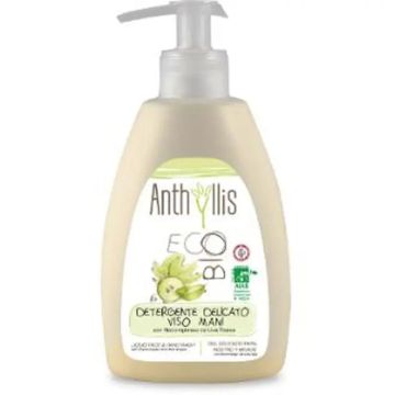 Anthyllis Gel Facial Y De Manos 300Ml. Eco