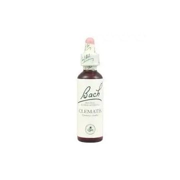 Bach Clematis 20 ml