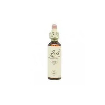 Bach Gorse 20 ml