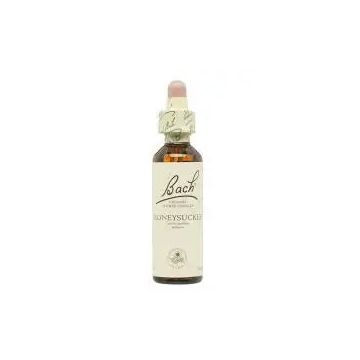 Bach Honeysuckle 20 ml