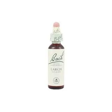 Bach Larch 20 ml