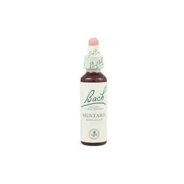 Bach Mustard 20 ml