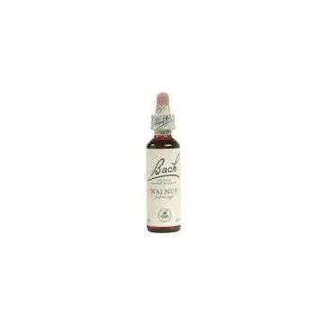 Bach Walnut-Nogal 20 Ml