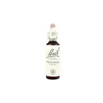 Bach Wild Rose 20 ml