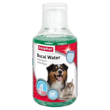 Beaphar Bucal Water Perro y Gato 250 ml