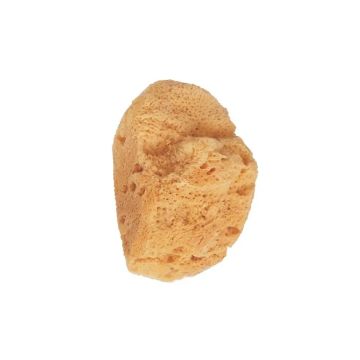 Beter Esponja Natural Marina Pequeña