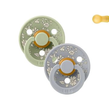 Bibs Liberty 2 Chupetes Colour Round Capel Sage Mix 6-18 M