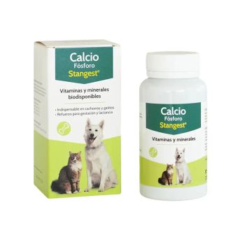 Stangest Calcio Fósforo 100 Comprimidos