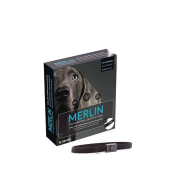 Calier Collar Merlin 65 cm 1 Unidad