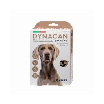 Calier Dynacan Perro 20-40Kg 3Pip