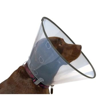 Collar Isabelino Comfort 12,5, 5Uds