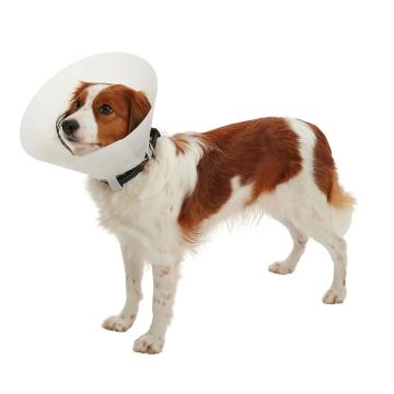 Collar Isabelino Opaco 12,5, 10Uds