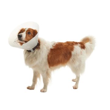 Collar Isabelino Opaco 15, 10Uds