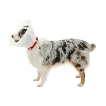 Collar Isabelino Opaco 20, 10Uds