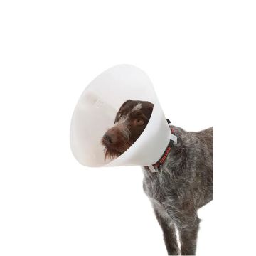 Collar Isabelino Opaco 25, 10Uds