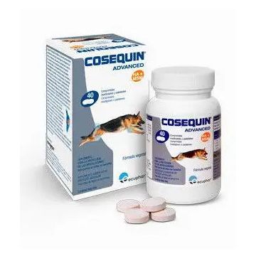 Cosequin Advance Msm Ha 40Cpd Box