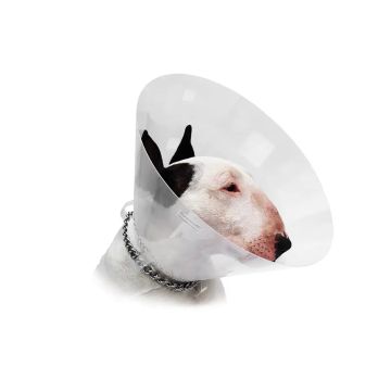 Covetrus Collar Isabelino Transparente Talla 7,5, 10U