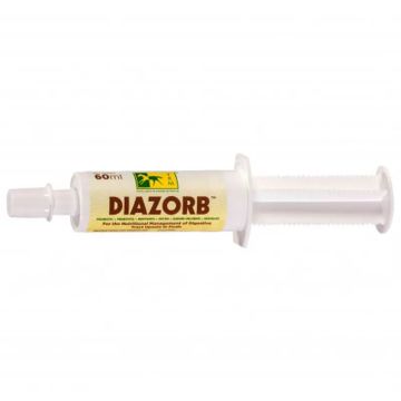 Diazorb 1 Jeringa, 60Ml