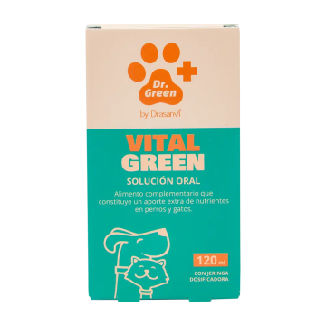 Drasanvi Drgreen Vitalgreen Solucion Oral , 120 ml