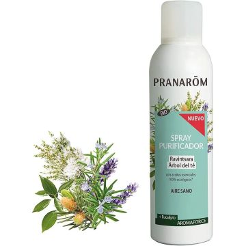 Pranarom Aromaforce Spray Purificador Árbol del Té Ravintsara, 150ml