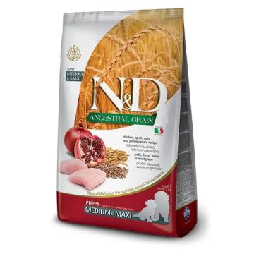 Farmina N&D Dog Puppy Ancestral Medium Maxi Pollo 12Kg, pienso para perroscachorros