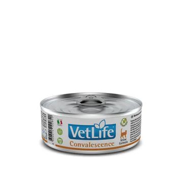 Farmina Vet Life Cat Convalescence Caja 12X85Gr, comida húmeda para gatos