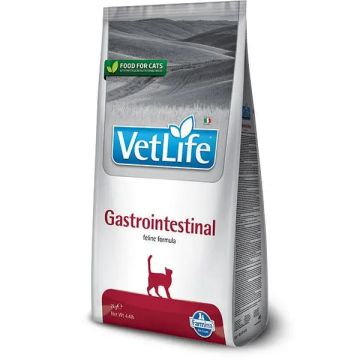 Farmina Vet Life Cat Gastrointestinal 5Kg, pienso para gatos