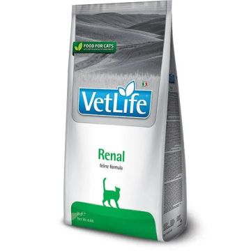 Farmina Vet Life Cat Renal 400Gr, pienso para gatos
