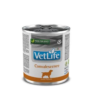 Farmina Vet Life Dog Convalescence Caja 6X300Gr, comida húmeda para perros
