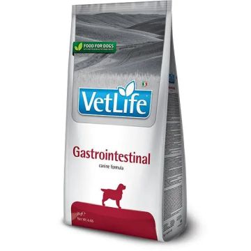 Farmina Vet Life Dog Gastrointestinal 2Kg, pienso para perros
