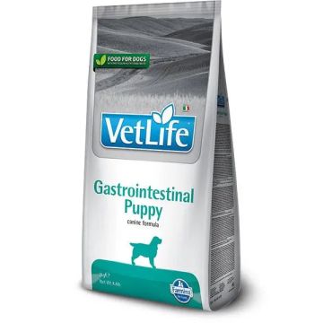 Farmina Vet Life Dog Puppy Gastrointestinal 2Kg, pienso para perros cachorros