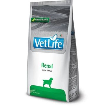 Farmina Vet Life Dog Renal 12Kg, pienso para perros
