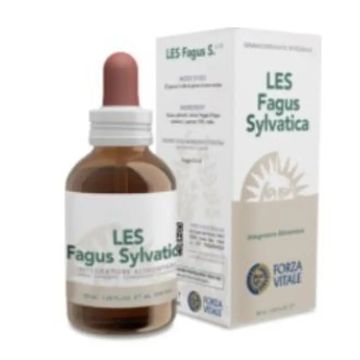 Forza Vitale Les Fagus Sylvatica Haya 50Ml.