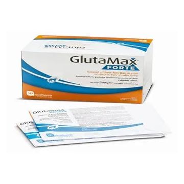 Glutamax Forte, 120 Comprimidos