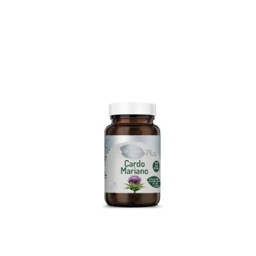 Granero S Cardo Mariano Plus 550 Mg, 90 Cápsulas
