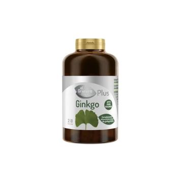 Granero S Ginkgo Biloba 510 Mg  250 cápsulas
