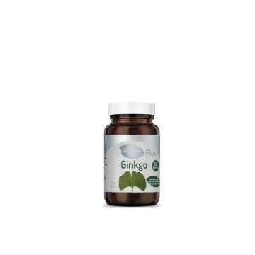 Granero S Ginkgo Biloba Forte 90 Cápsulas