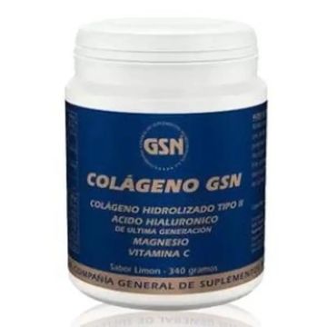 Gsn Colageno Gsn Con Acido Hialuronico Limon 340Gr.