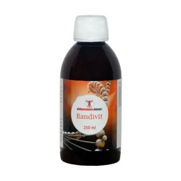 Hausmann B Bandivit Jarabe  250 ml