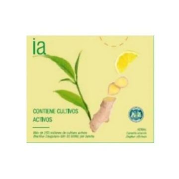 Interapothek Te Verde Jengibre Infusiones 20 unidades