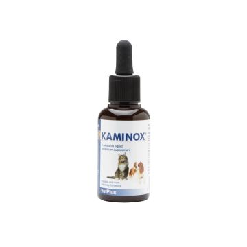 Kaminox 60 ml