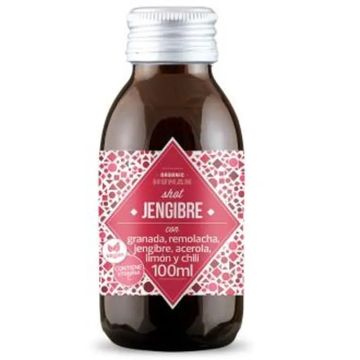 Kildespring Human Shots Jengibre 100Ml. Bio