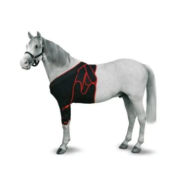 Kruuse Equine Venda Frontal M 12Uds