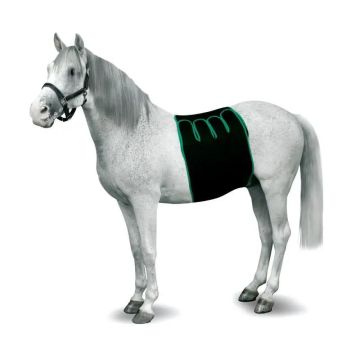 Kruuse Equine Venda Recovery Size S