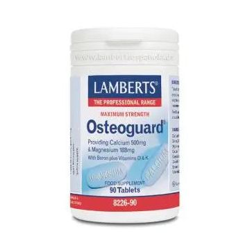 Lamberts Osteoguard (Ca 500/Mg 250/Boro 1,5) 90 Comp.