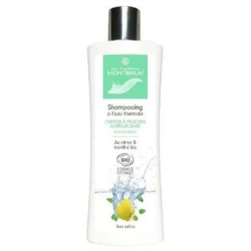Montbrun Champu Anticaspa Con Agua Termal 250Ml. Bio